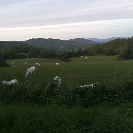 Da Santina Appartamento Pieve Santo Stefano